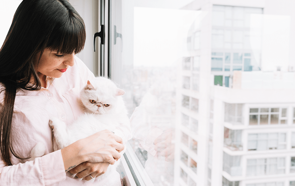Pet-proofing your condo unit