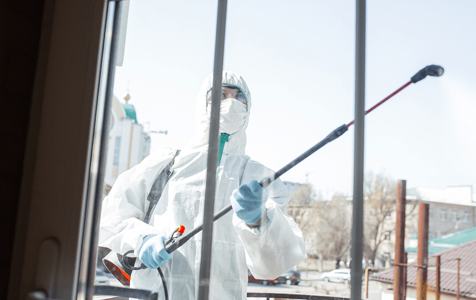 window clean up