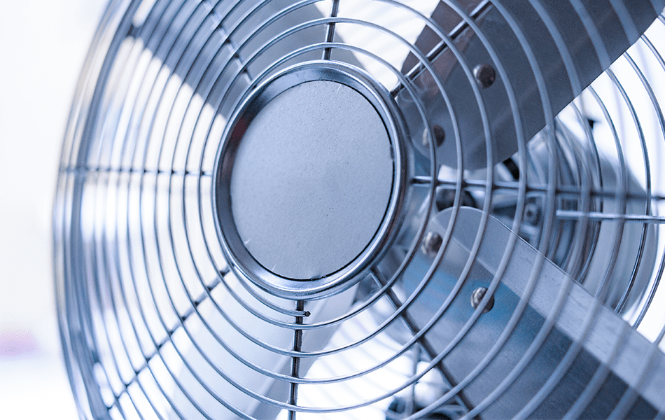 electric fan for the summer