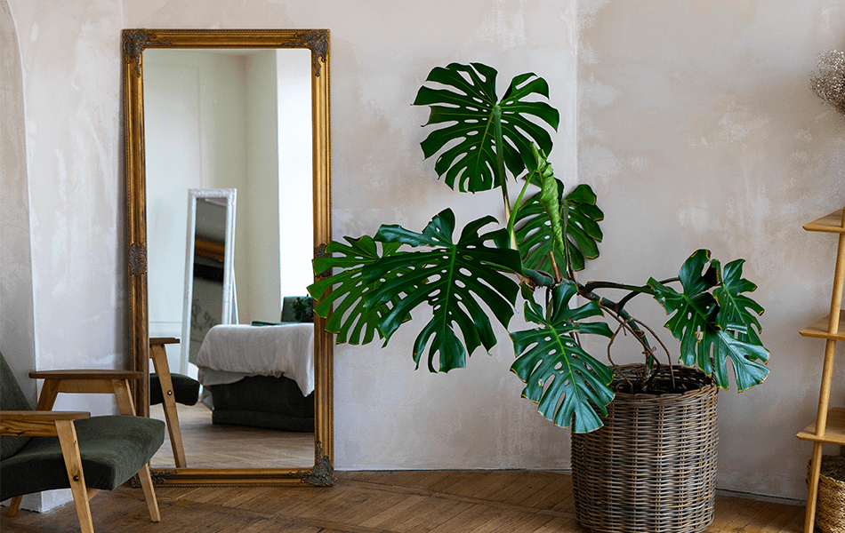 Mirror for interior