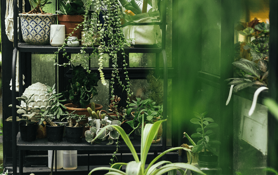 Vertical Garden