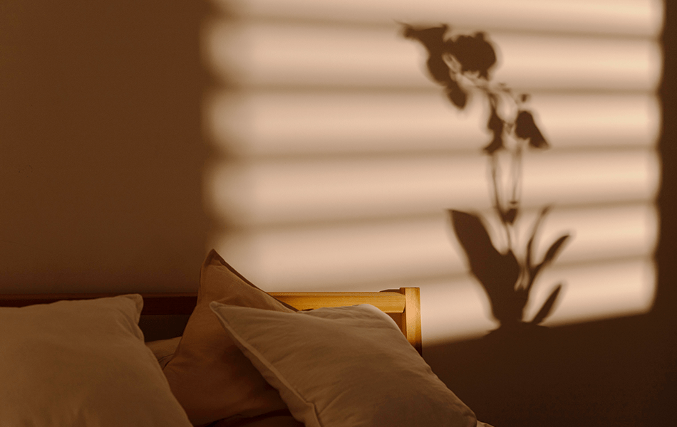 natural light at home